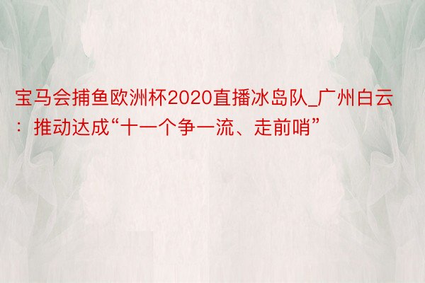 宝马会捕鱼欧洲杯2020直播冰岛队_广州白云：推动达成“十一个争一流、走前哨”