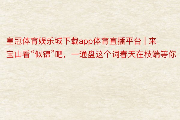 皇冠体育娱乐城下载app体育直播平台 | 来宝山看“似锦”吧，一通盘这个词春天在枝端等你