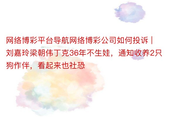 网络博彩平台导航网络博彩公司如何投诉 | 刘嘉玲梁朝伟丁克36年不生娃，通知收养2只狗作伴，看起来也社恐