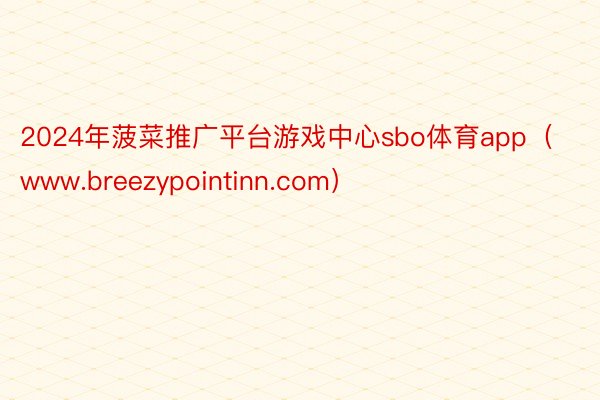 2024年菠菜推广平台游戏中心sbo体育app（www.breezypointinn.com）