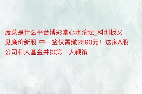 菠菜是什么平台博彩堂心水论坛_科创板又见廉价新股 中一签仅需缴2590元！这家A股公司和大基金并排第一大鞭策